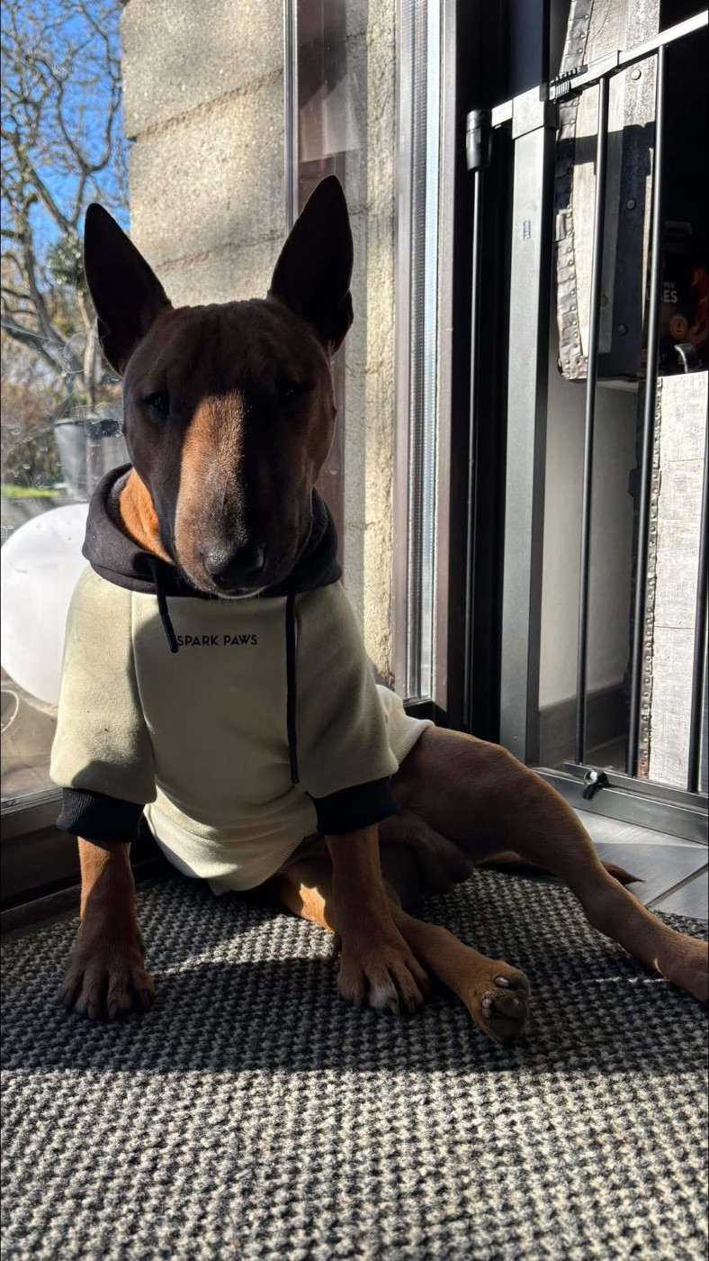 Arès Des Minis De Belzebulls